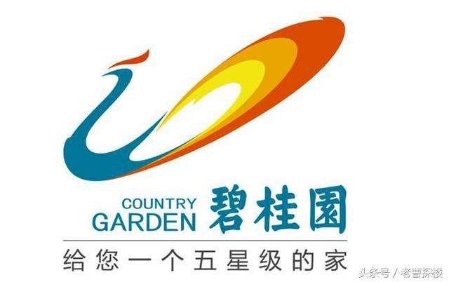 【碧桂園生活水係統】91视频首播APP合同